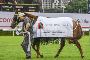 Another One goes one better in Country Championships Final