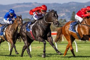 Bella Vella returns with win in R N Irwin Stakes