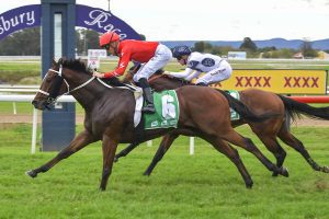 Tycoonist takes out the Hawkesbury Gold Rush