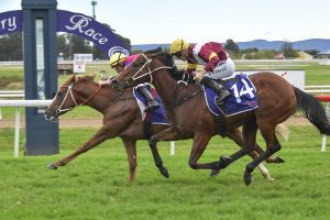 Mr Mozart grips on to claim the Hawkesbury Guineas
