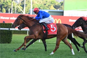 Heresy leads home a Godolphin first four in P J Bell Stakes