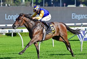 Knight's Order leads all of the way in Sydney Cup