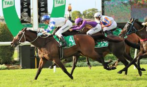 Derby winner finds winning form in Tails Stakes