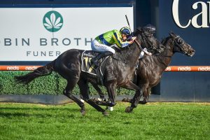Milford grinds out Group 3 Easter Cup win at Caulfield