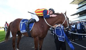 Nature Strip back to his best in TJ Smith Stakes