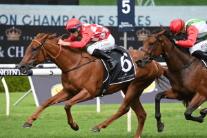 She's Extreme denies Fireburn of the Triple Crown in Champagne upset