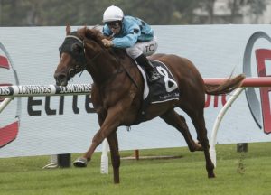 Ellsberg under rated in Doncaster Mile according to trainer