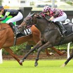 Hoysted 'happy' with both Canadian Dancer and Teranga