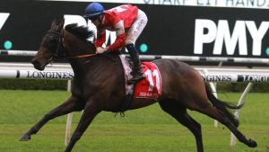 Widdup rues luckless campaign as Icebath heads to the paddock
