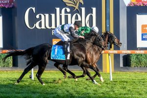 Imperial Lad holds off So Si Bon in VOBIS Gold Mile