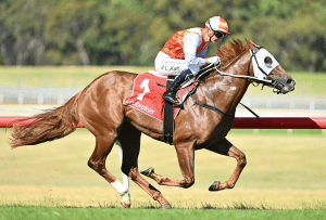 Green Belt, Rothfire early favourites for Brisbane features