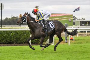 A bright future ahead for Loch Eagle ahead of Hawkesbury Guineas
