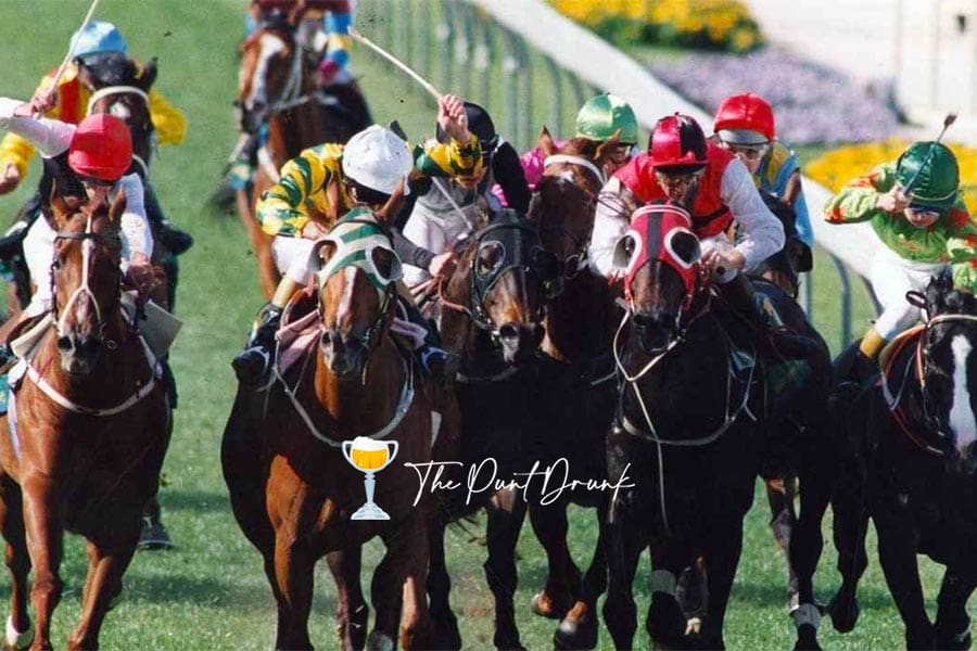 1992 Cox Plate field