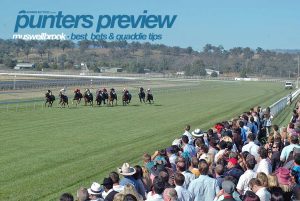 Muswellbrook preview