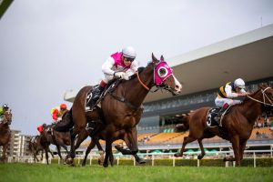 Last Chance aiming for three on the trot in ATC Trophy