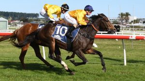 Talented filly ready for stakes company