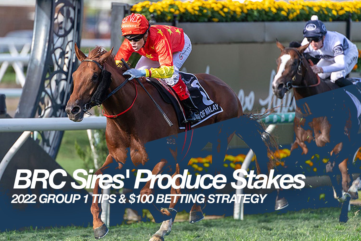 BRC Sires Produce Stakes preview