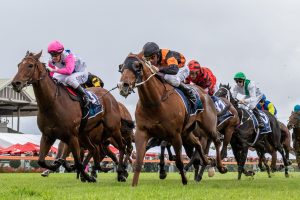 Free Of Debt claims thrilling edition of DC McKay Stakes