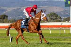 The Amazonian claims SA Fillies Classic in emphatic fashion