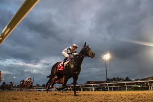 Du Plessis hoping for scratchings in Gold Coast Guineas