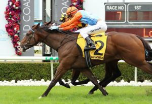 Prince Of Boom claims Gold Coast Guineas by a nostril