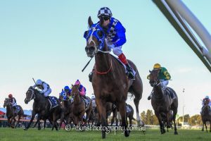 Seradess takes out Proud Miss Stakes