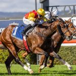 Twin Stars claims South Australian Sires’ Produce Stakes
