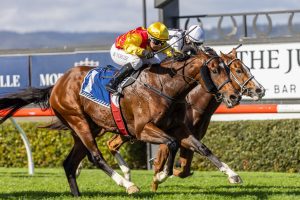 Twin Stars claims South Australian Sires’ Produce Stakes