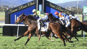 Vulpine proves too good in the Ortensia Stakes