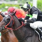 Private Eye in Queensland Guineas