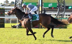 Three-pronged Healy Stakes attack for Tony Gollan