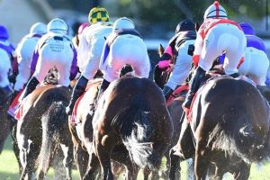 Queensland government announces new 5% racing levy