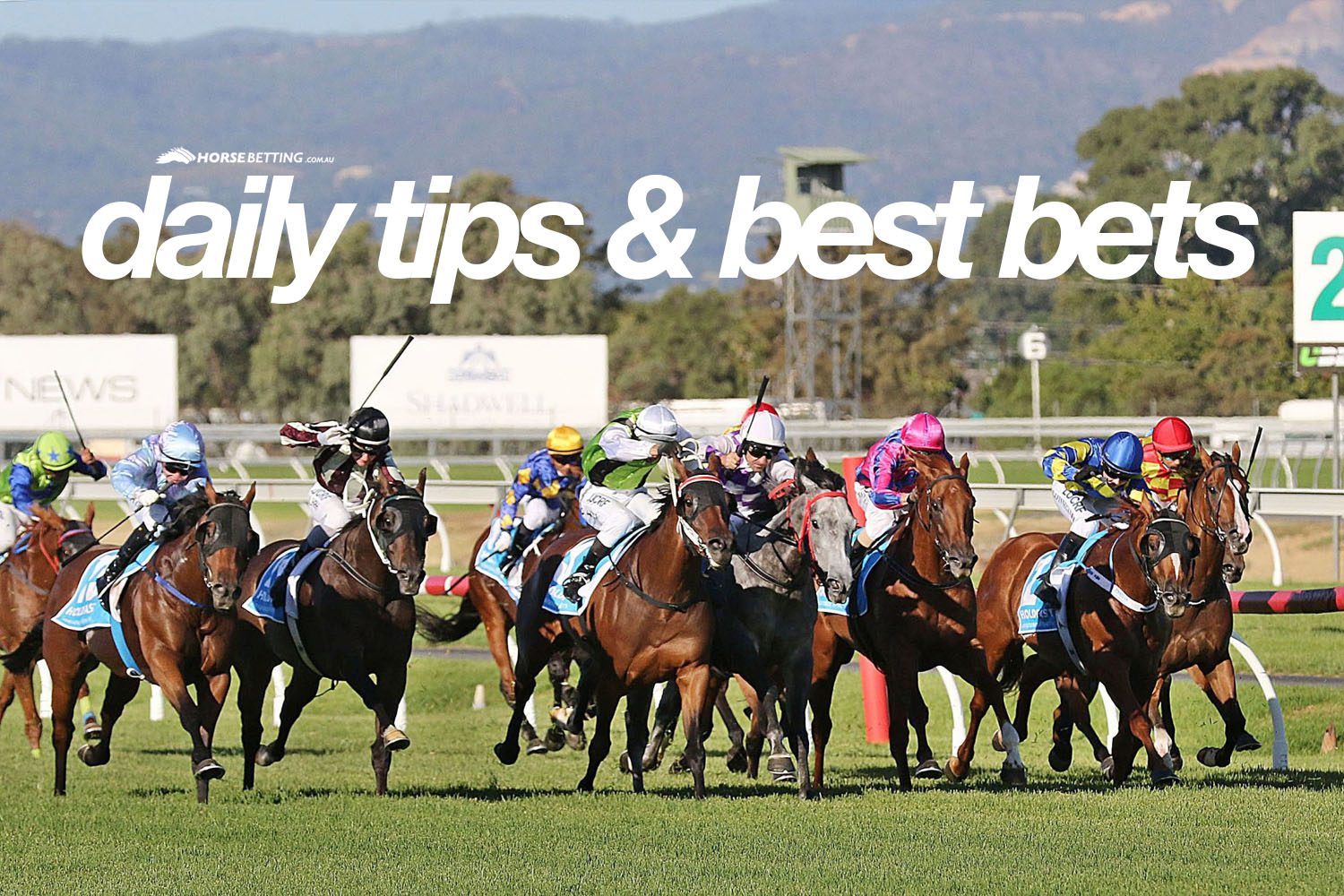 Monday Horse Betting Tips