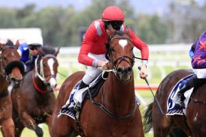 Extremely Lucky comes from last to win Lightning Stakes