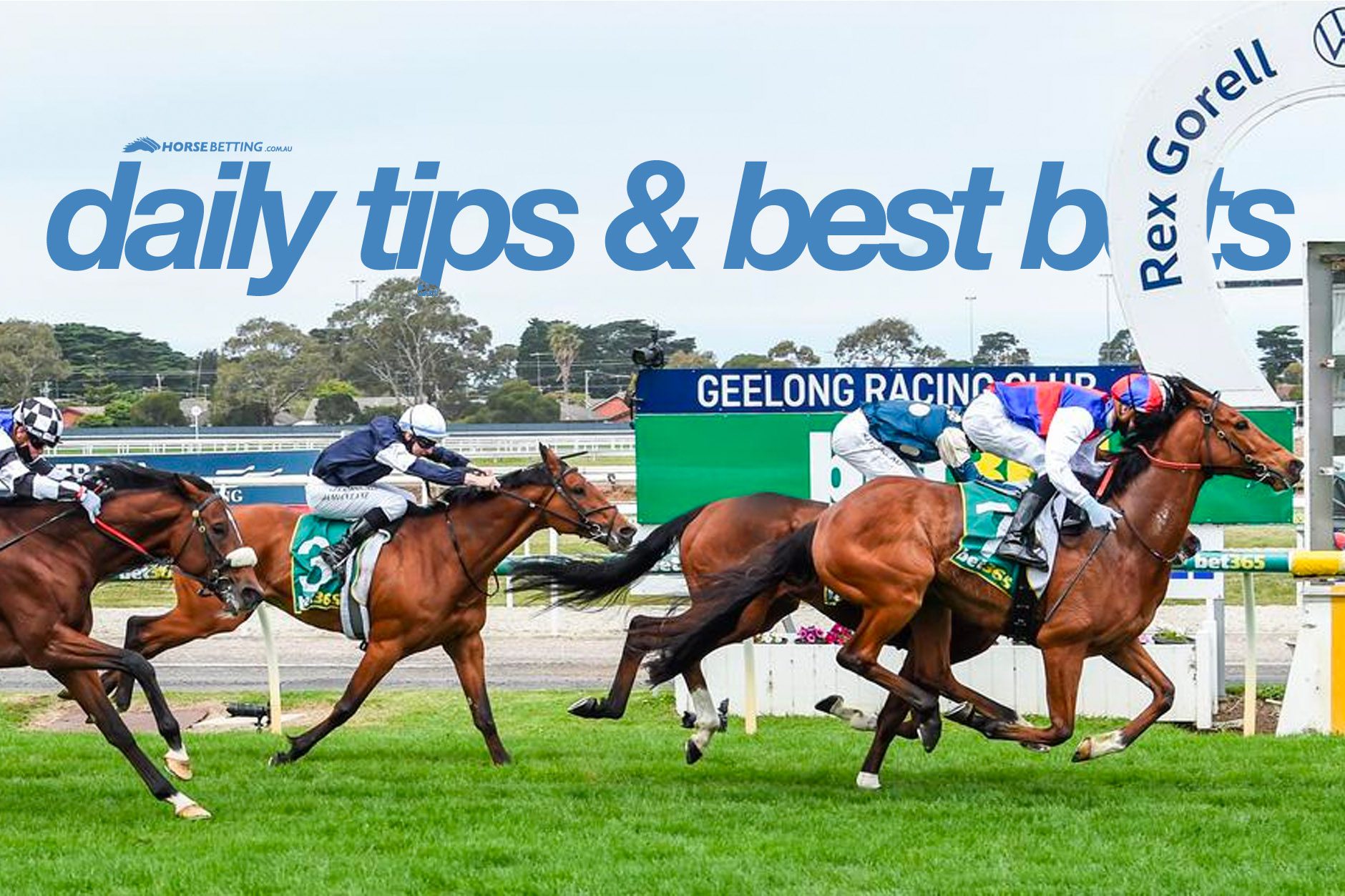 Horse racing tips Geelong
