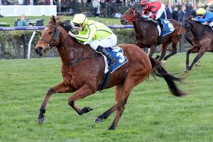 Sirius Suspect’s persistence is paying off ahead of Flemington