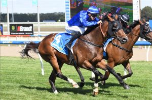 Golden Mile wins Ballarat maiden