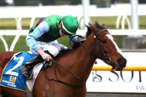 Myers set to dominate Grand National Hurdle