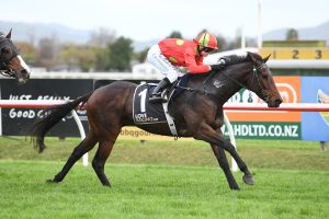Myers gelding could Kick On to Caulfield Cup