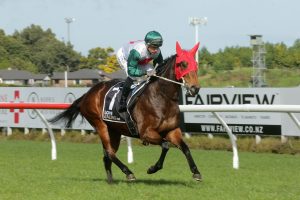 Promising filly heads home Marsh quinella