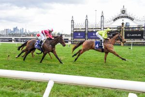Sirius Suspect leads throughout in Aurie's Star Handicap