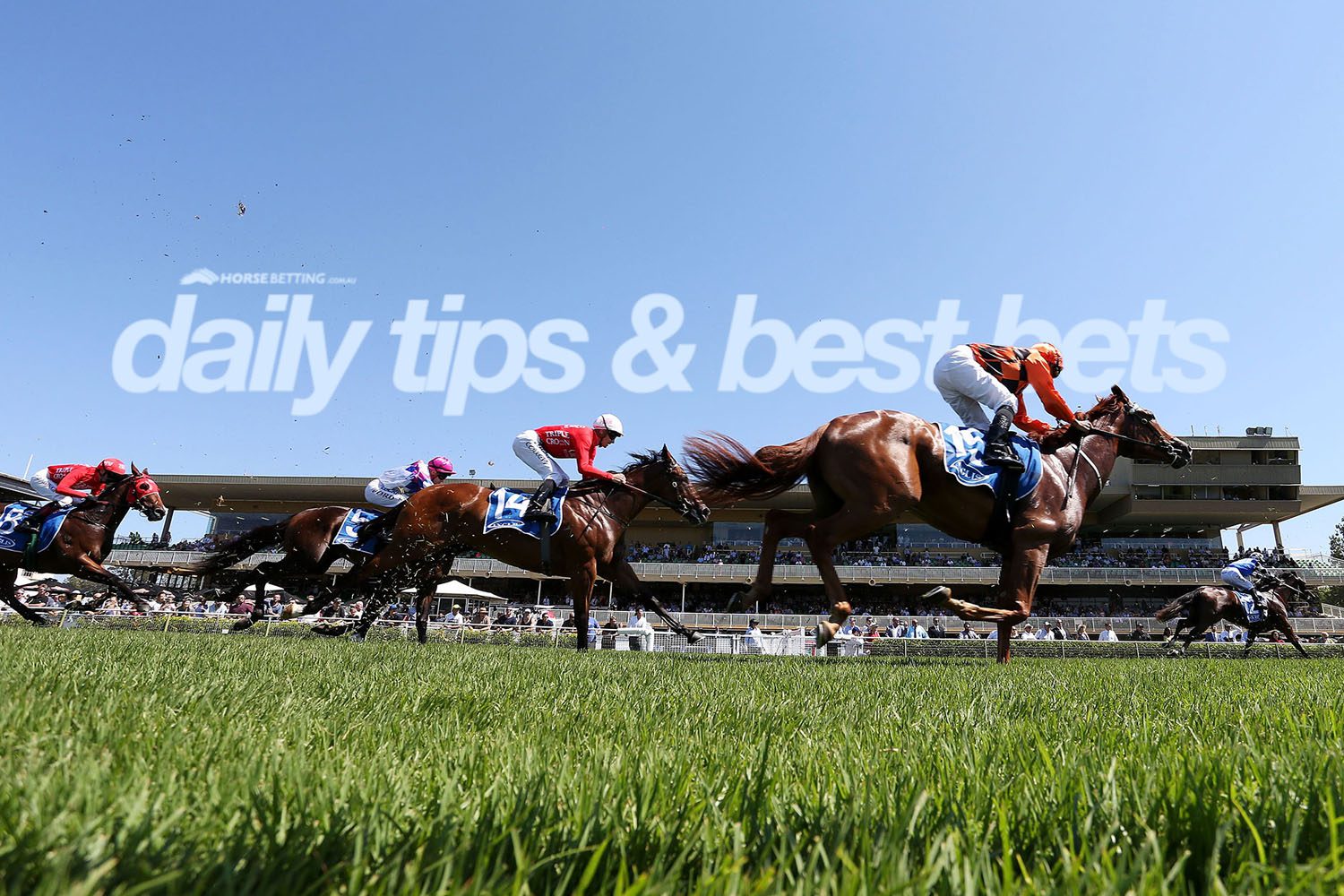 Thursday horse racing tips & best bets