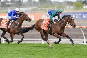 Jacquinot swoops to win McNeil Stakes