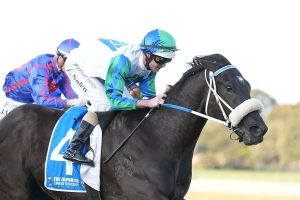Memsie Stakes attracts strong nominations