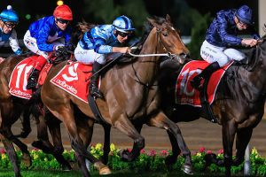 Daisies Wins The 2022 Stocks Stakes At Moonee Valley
