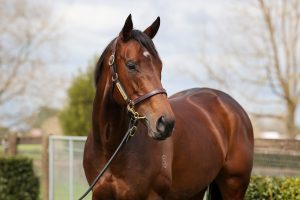 Yulong secures Group One winner Entriviere