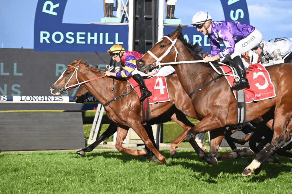 2022 Theo Marks Stakes