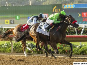 Vegas Magic looking for more Stakes success