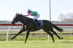 First-starter no pushover in Guineas