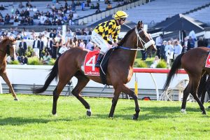 Waltz On By grips on to claim Jim Moloney Stakes